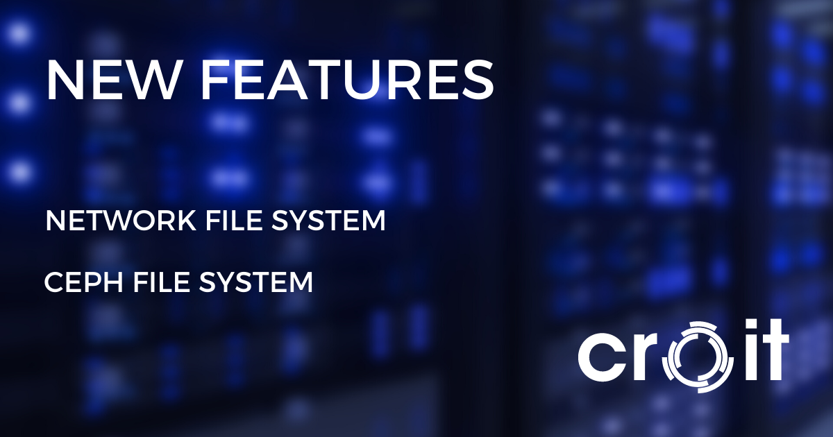 Network File System and Ceph File System Features
